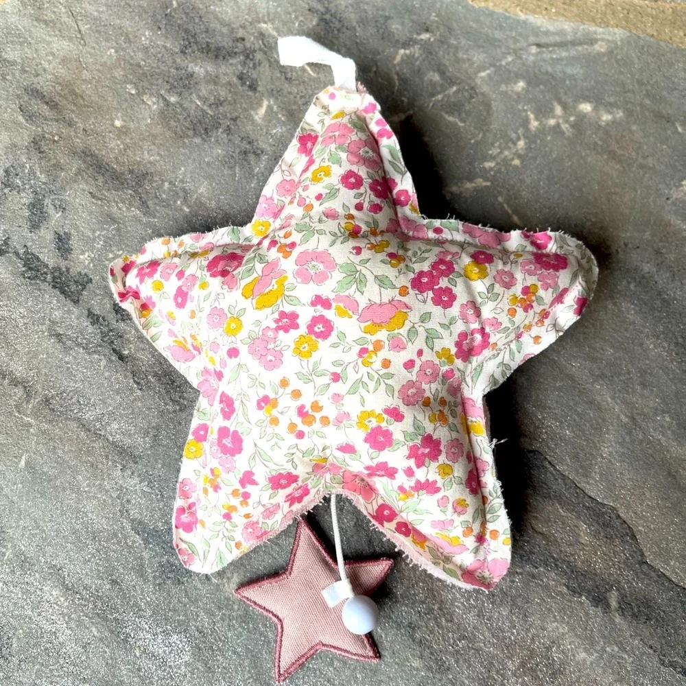 New🌟Musical Star Toy